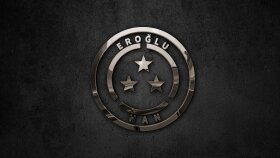 profesyonel logo ve kurumsal kimlik tasarımı yaparım