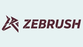 Zebrush — Konsept Spor Ayakkabı Markası