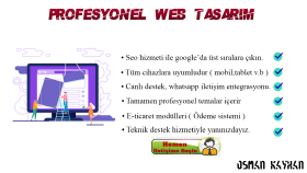 profesyonel ve kurumsal  web sitesi yaparım