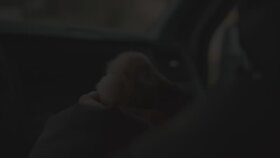 Video Edit