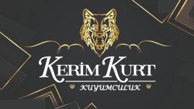 sade ama akılda kalıcı logo tasarımları yapabilirim