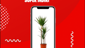 Anneler Günü Seslendirme