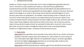 Karaburun Koyları 