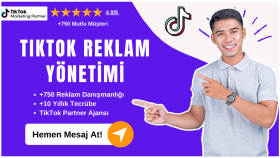 tiktok reklamlarınızı yönetirim