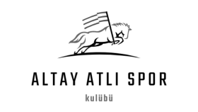 Logo Tasarımı