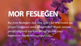 Gönülbağı instagram post tasarımı 