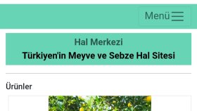 bakanlık tecrübesi ile web sitesi geliştiriyorum