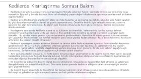 web sitesi blog yazıları