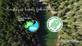 İş örneğim