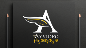 Profesyonel Logo Tasarımı