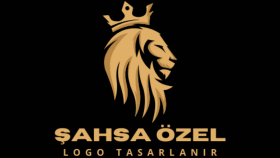 size özel kurumsal ve hikayeli logolar tasarlayabilirim