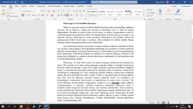 profesyonel bir şekilde metin yazarım
