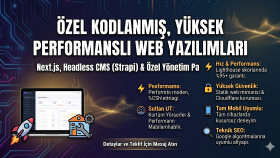 profesyonel web siteleri  yapıyorum