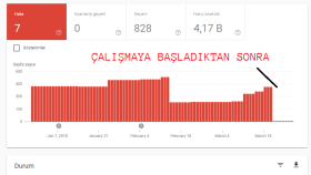 DİZİN KAPSAMI SORUNLARI