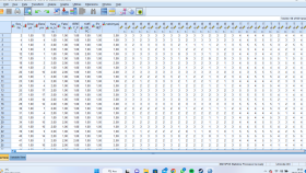 SPSS ile veri analizi ve raporlama yaparım