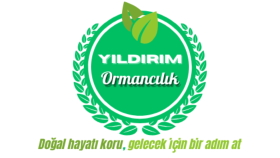 Şahin desin doğa temalı tasarım