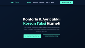 profesyonel web sitesi tasarlarım