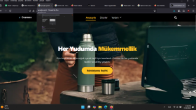 Web Geliştirme