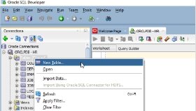 Oracle PLSQL Eğitimi