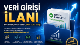 veri girişi yapıyorum