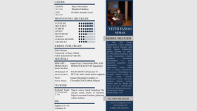 CV TASARIMI