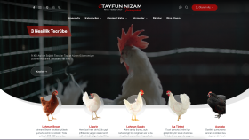 Bursa Tavuk Pazarı - B2B Canlı Hayvancılık