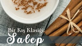 Sosyal Medya Tasarımları