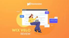 uzman olduğum wix velo'da sizlere desktek sağlayabilirim
