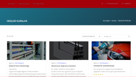lms ve online  sistemlerini tema seçenekleri  ile kurarım