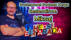 Her Türlü Seslendirme İçin Tek Adres: Profesyonel Ses!