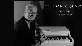 ŞİİR Seslendirmesi - Müziği ve Şarkısı