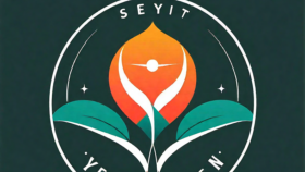  logo tasarımı yaparım