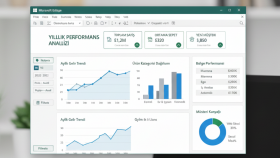  Excel verilerini analiz eder raporlar oluştururum