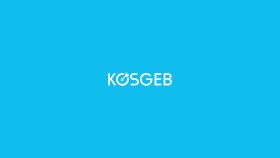KOSGEB- Logo Tasarımı