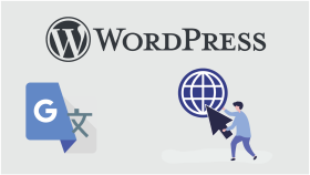 web sitenize farklı dil seçeneği eklerim