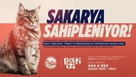 ''Sakarya Sahipleniyor'' Billboard Çalışması