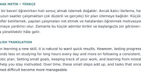 Çince ve İngilizce çeviri yaparım