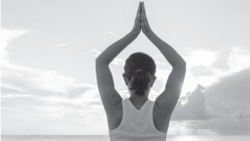 ANDULIFE MAXIMAL FIYAT LİSTESİ