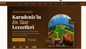 modern ve kullanıcı dostu web arayüzleri tasarlıyorum
