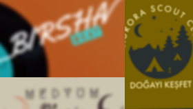size özel, minimal ve şık bir logo tasarlarım