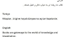 3 Dilde Profesyonel Çeviri (İngilizce – Türkçe – Farsça)