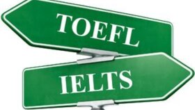 PROFESYONEL ÇEVİRİ