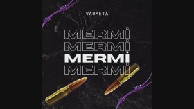 sizler için akılda kalıcı rap / drill şarkı sözü yazabilirim