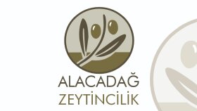 Alacadağ Zeytincilik Logo Tasarımı