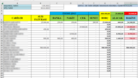  profesyonel olarak excel işlerinizi yaparım