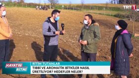 TRT - Kocaeli buyüksehir belediyesi