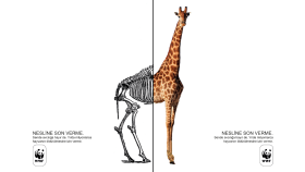 WWF - Hayvan Hakları Tasarımı