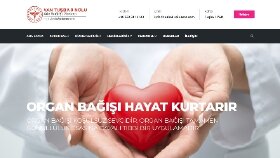 Profesyonel Web site tasarımı 