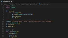 Python Turtle ile iç içe kareler çizme