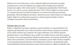 Çeviri örnekleri